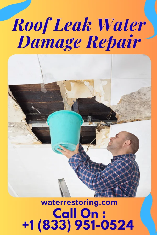 Roof Leak Water Damage Repair in Westport, WA