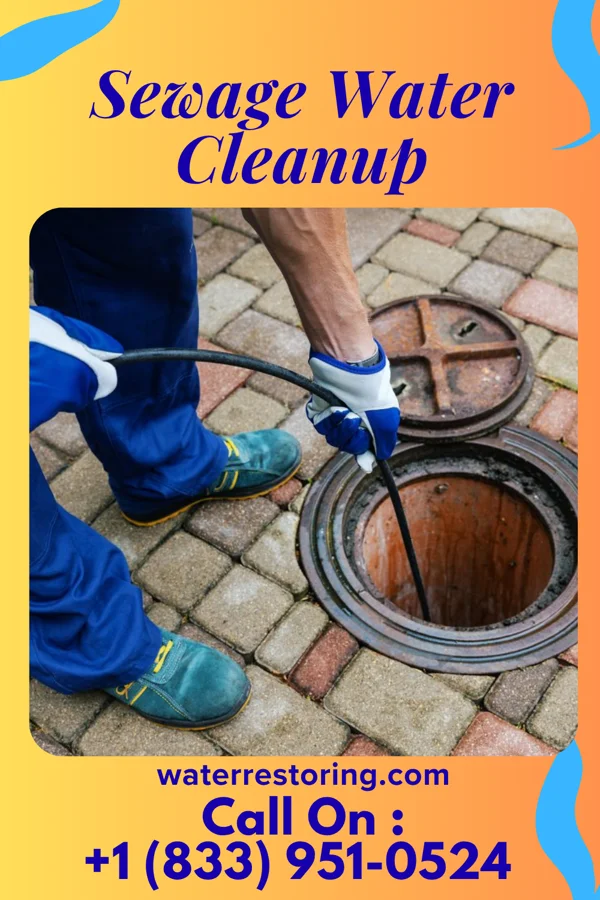 Sewage Water Cleanup in Westport, WA